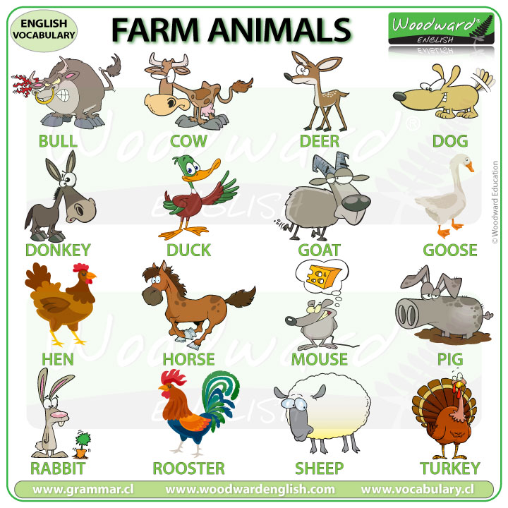 Farm Animals - English Vocabulary - Learn the names of farm animals in  English