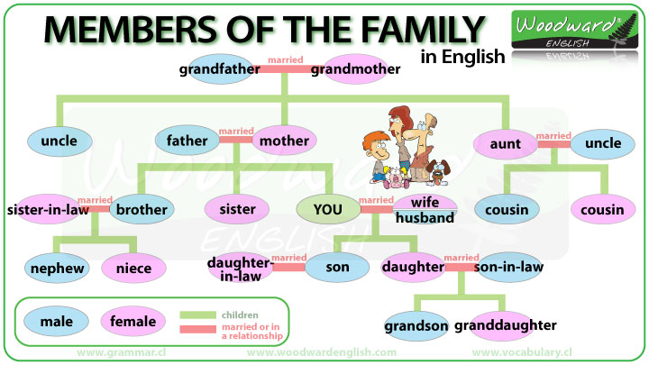Members of the Family in English Members of the Family in English