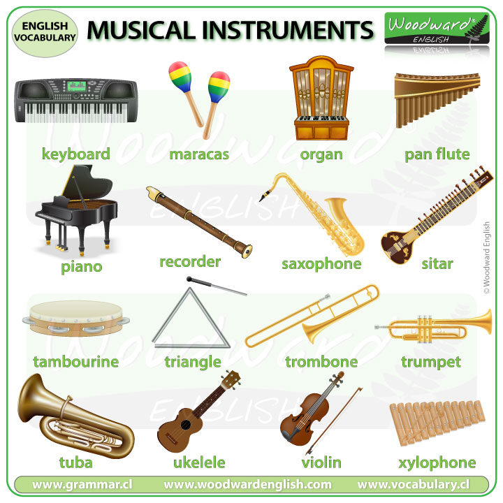 Laboratorio vestir Escuela primaria Musical Instruments - English Vocabulary List